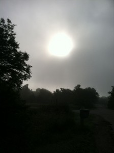 BYE sun fog