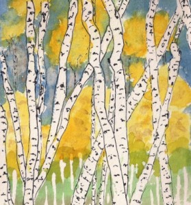 birch trees sans