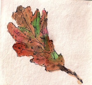 fall leaf