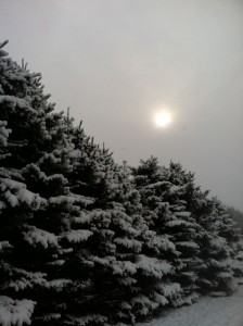 sunlight and snow