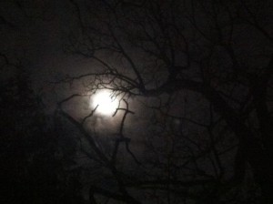 full moon wood smoke