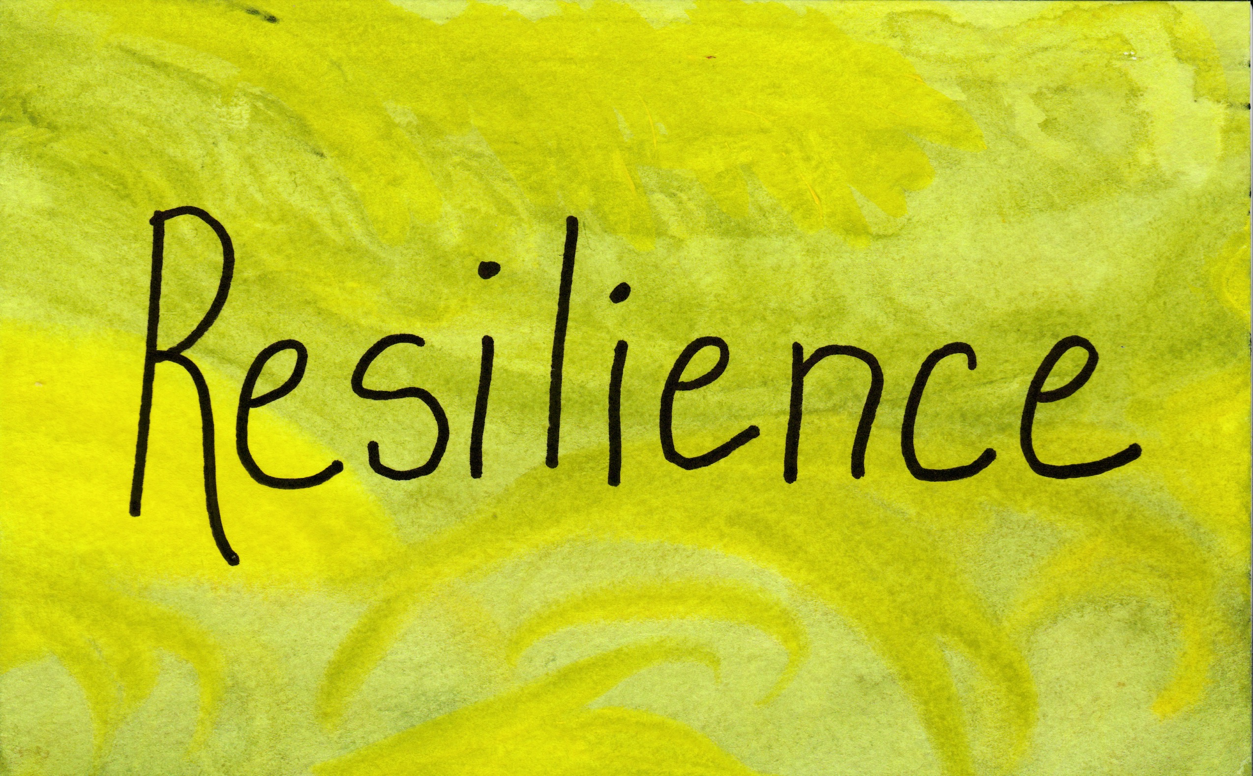 12 words. Resilience. Resilience picture.